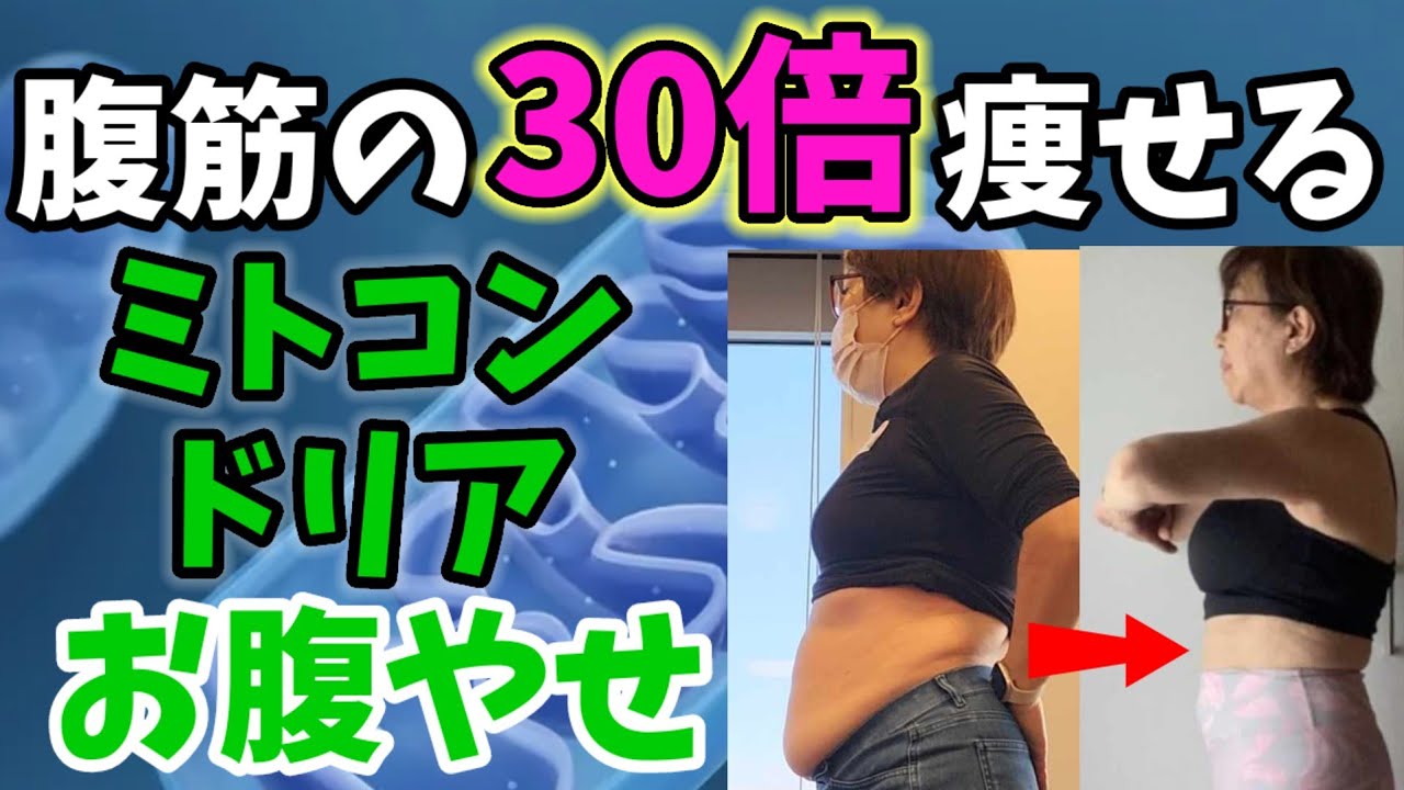 腹筋の30倍痩せる❗ミトコンドリアでお腹痩せ！－１０cm❗ img