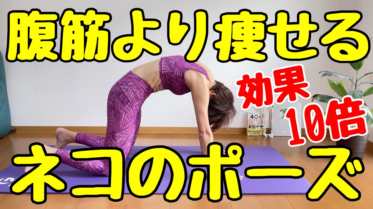 99％が知らない痩せるネコのポーズ‼️このコツを知らないと絶対に損してます img