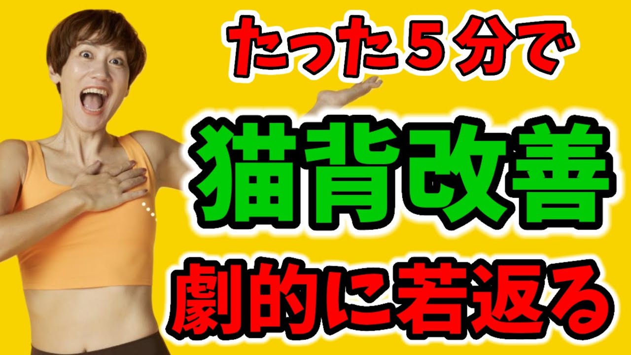 【５分】かんたん猫背改善プログラムで10歳若返る！肩こり、ぽっこりお腹も改善❗つまぷるストレッチ img