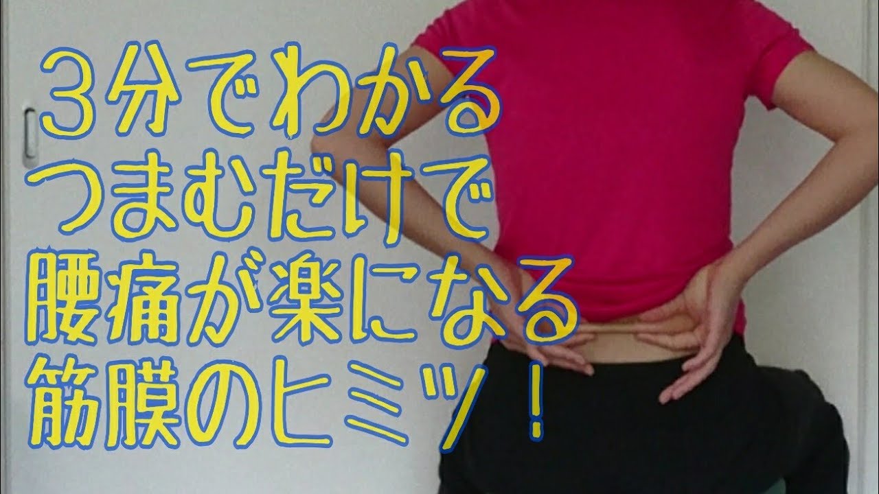 話題のファシア！つまむだけで腰痛が楽になっちゃう筋膜のお話 img