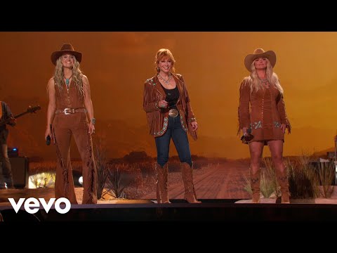 Trailblazer (Live From The 60th Academy of Country Music Awards) img