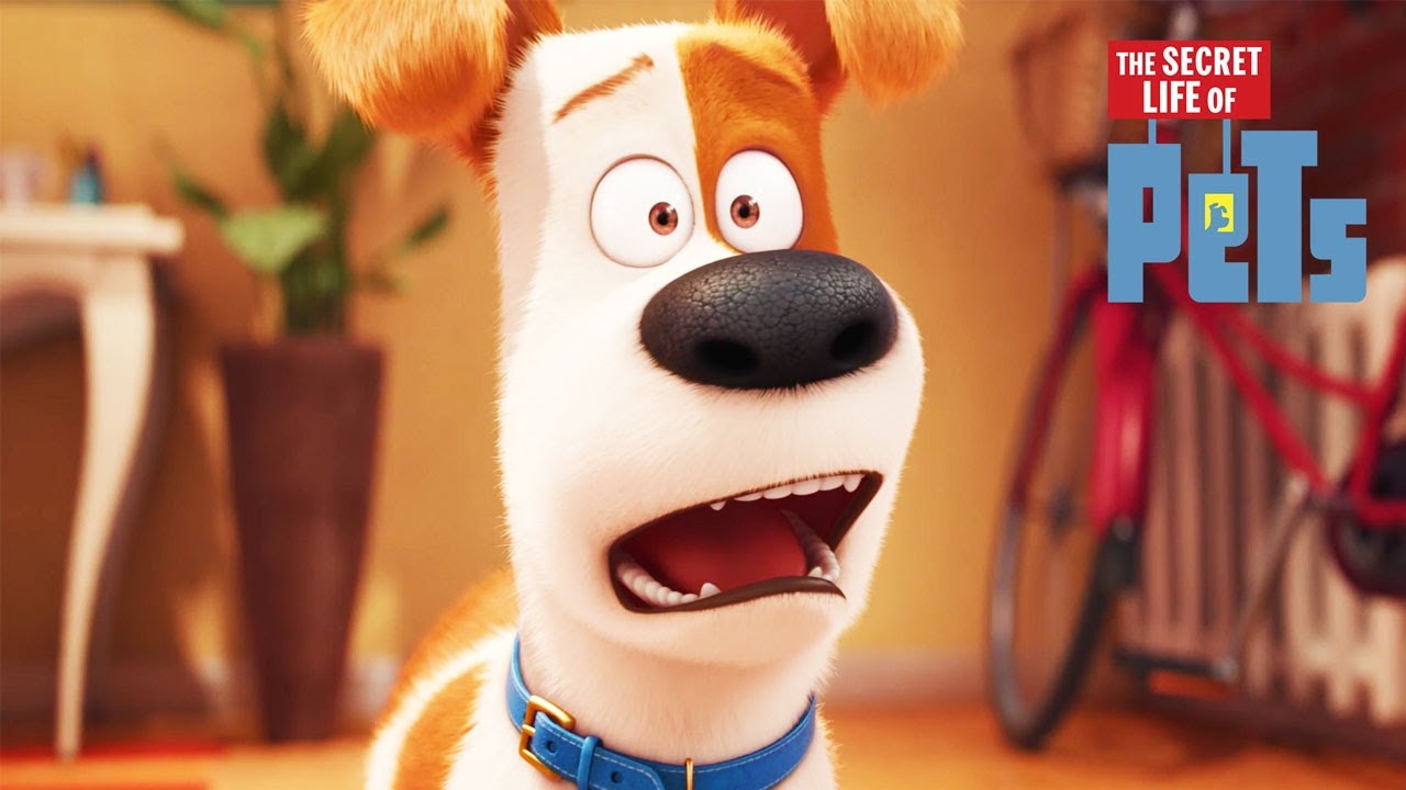Max Gets a New... Brother? | The Secret Life of Pets | Mini Moments img